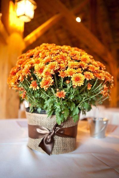 10 Easy DIY Fall Wedding Table Centerpiece Ideas Fall Wedding Mums, Potted Mums, Fall Wedding Tables, Fall Mums, Fall Wedding Diy, Zucca Halloween, Fall Wedding Centerpieces, Rustic Fall Wedding, Pumpkin Centerpieces