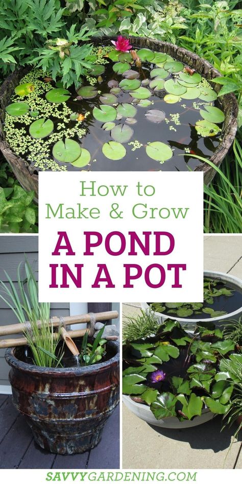 Little Pond Ideas Small Gardens, Easy Maintain Garden, Small Pond For Garden, Potted Water Garden, Small Plant Garden Ideas, Easy Garden Water Features, Water Garden In A Pot, Outdoor Garden Ideas Backyards Easy Diy, Diy Planter Water Feature