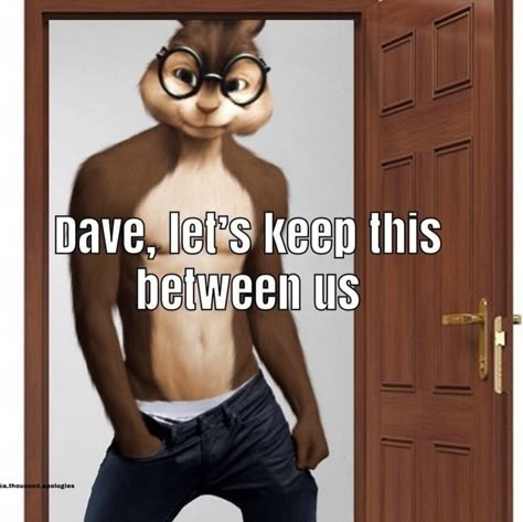 Alvinnn!!! And The Chipmunks, Losing Faith In Humanity, Funny Pix, Alvin And The Chipmunks, Goofy Pictures, Ex Machina, Very Funny Pictures, Funny Reaction Pictures, Silly Pictures