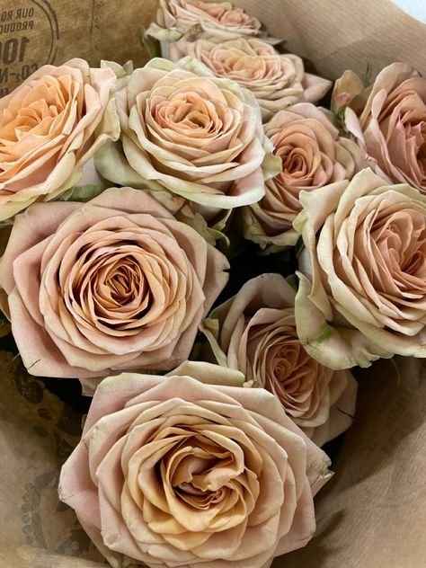 Cappucino Rose Wedding, Cappucino Rose Bouquet, Cream Colored Houses, Vip Roses, Czech Wedding, Tan Roses, Flowers Fade, Dusty Pink Roses, White Flowers Wedding