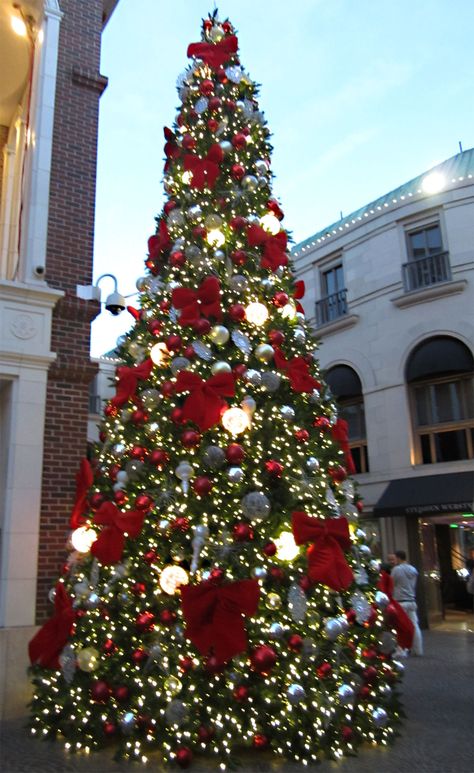 Decorated Christmas tree, Rodeo Drive, Beverly Hills Rodeo Drive Beverly Hills, Rodeo Drive, American Dream, Retail Therapy, Christmas Trees, Rodeo, Beverly Hills, Christmas Tree Decorations, Places To Travel