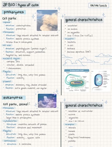 School Notes Template | Aug 08 2023 - Notability Gallery Keynote Journal Template, Note Format Layout, Textbook Notes Templates, Language Notes Template, Notes Digital Aesthetic, Good Notes Study Templates, Notes Format Layout, Digital Note Ideas, Good Notes Templates Free Note Taking