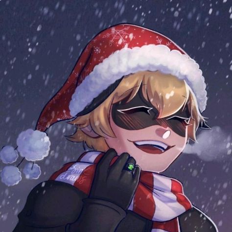 Miraculous Ladybug Christmas, Catnoir And Ladybug, Miraculous Ladybug Oc, Miraculous Wallpaper, Miraculous Ladybug Memes, Miraculous Ladybug Wallpaper, Miraculous Ladybug Fanfiction, Miraculous Characters, Super Cat