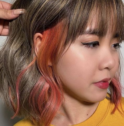 Pop of colour/ colour strip Colour Ends Of Hair, Pop Of Colour Hair, Stripe Of Color In Hair, Hidden Pops Of Color In Hair, Hair Stripping Color, Pop Of Color Hair Hidden, Dyed Strip Of Hair, Pop Of Color In Brown Hair, Brunette Color Blocking