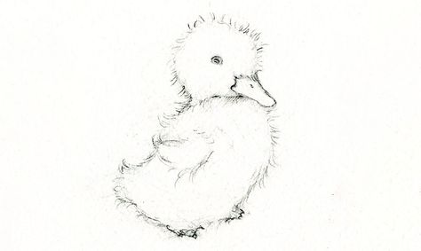 Adorable Art: Learn How to Draw and Paint a Duckling Mother Duck And Ducklings Drawing, Fluffy Duck Drawing, Duck Ink Drawing, How To Draw A Duckling, Baby Ducks Drawing, Duckling Tattoos, Cute Duckling Drawing, Duck Simple Drawing, Duckling Aesthetic