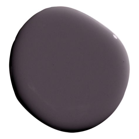 ESSENCE OF NIGHTSHADE, deep purple paint color by Backdrop. Purple Interior Paint Colors, Purple Wall Painting Ideas, Deep Purple Paint, Witch Bathroom, Grey Purple Paint, Purple Paint Color, Plum Paint Colors, Dark Purple Walls, Outdoor Paint Colors