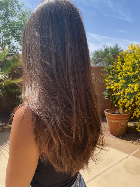 Layers Haircut Brown Hair, Light Layers On Medium Hair, Hair Cuts Long Layers Straight, Layers For Long Hair Brown, Long Layers On Brown Hair, Haircut Inspo Long Straight, Simple Layers For Long Hair, Long Brown Hair With Long Layers, Layers On Straight Hair Long