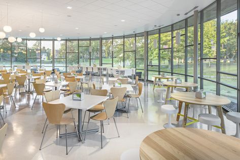 Wheaton College Chase Dining Hall - Prellwitz Chilinski Associates Canteen Design, Cafeteria Design, Wheaton College, School Building Design, School Hall, School Hallways, School Interior, School Cafeteria, Dining Hall