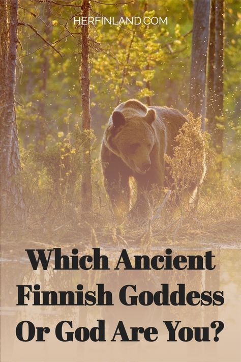 Are you interested in the Finnish mythology? Discover if you feel a connection to a Finnish goddess or god. Finnish Folk Magic, Finnish Art Traditional, Finnish Witchcraft, Sisu Tattoo Finland, Finnish Symbols, Finnish Paganism, Sisu Tattoo, Finnish Traditions, Finnish Folk Art