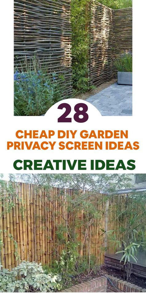 Achieve enhanced privacy in your garden on a budget with these creative DIY ideas! Consider repurposing old doors or shutters into an attractive privacy screen by mounting them strategically. Alternatively, use outdoor fabric or curtains to craft a whimsical and cost-effective divider. Create a cozy outdoor oasis by suspending them from a pergola or fixing them onto a wooden frame. For added charm, adorn the area with twinkling fairy lights to set a magical evening ambiance. Fly Repellant Diy, Privacy Screen Ideas, Chicken Coop Designs Diy, Diy Privacy Screen, Garden Sanctuary, Garden Privacy Screen, Garden Privacy, Above Ground Pool Landscaping, Privacy Fences