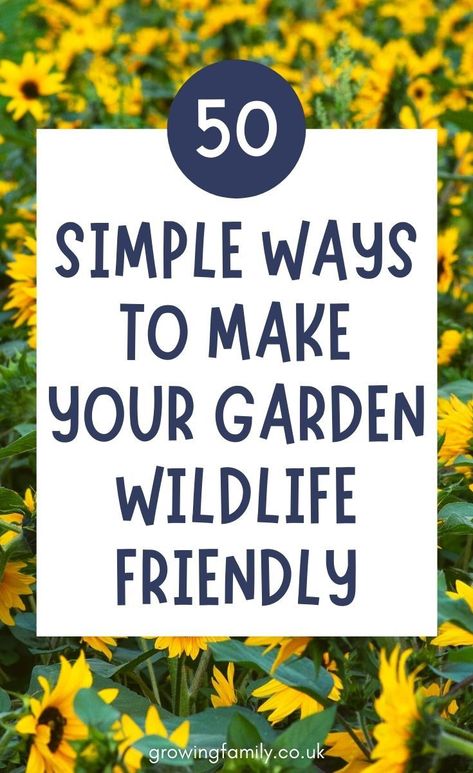 Animal Friendly Garden, Wildlife Friendly Backyard, Biodiversity Garden Ideas, Biodiversity Garden, Garden Wildlife, Wildlife Garden Ideas, School Wildlife Garden Ideas, Small Wildlife Garden Ideas, Wildlife Front Garden