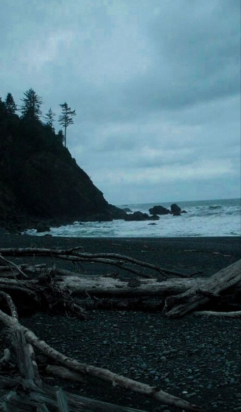 La Push Aesthetic Twilight, Twilight Landscape Movie, Washington Forks Aesthetic, Jordancore Aesthetic, Shelby Core Aesthetic, Forks Washington Aesthetic, Coastline Aesthetic, Forks Washington Twilight Aesthetic, Twilight Aesthetic Wallpaper