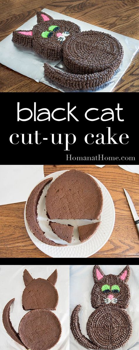 Black Cat Cake, Cat For Halloween, Cake Cat, Up Cake, Cat Birthday Party, Cake Easy, Gateaux Cake, Cat Cake, A Black Cat