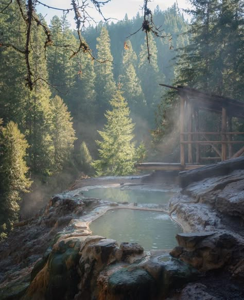 Visit Oregon - Serene scenes in Southern OR ♨️ 📸:... Umpqua Hot Springs, Van Road Trip, Oregon Aesthetic, Freedom Nature, Land Scapes, Visit Oregon, Smith Rock State Park, Trip Aesthetic, Painted Hills