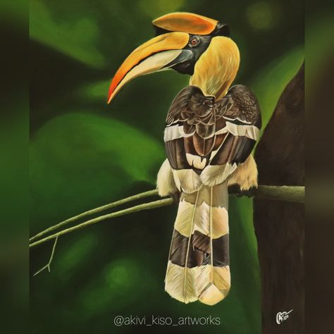 Acrylic on canvas painting of hornbill by Akuvi Kiso from Nagaland Nagaland Art, Hornbill Painting, Geometric Tattoo Design, Abstract Art Painting, Acrylic On Canvas, Tattoo Design, Geometric Tattoo, Tattoo Designs, Acrylic Painting