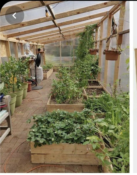 Self Sufficient Backyard, Diy Greenhouse Plans, Backyard Garden Layout, Indoor Greenhouse, Vegetable Garden For Beginners, Winter Treats, Backyard Greenhouse, Self Sufficient, Diy Greenhouse