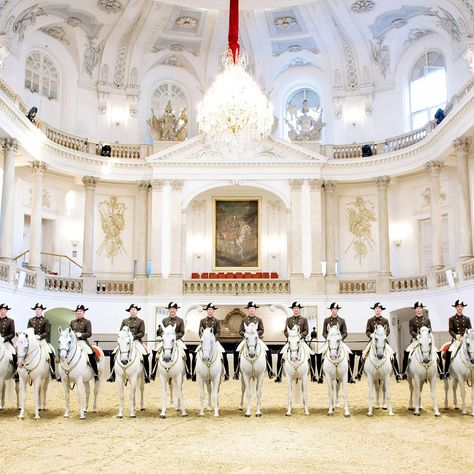 Spanish Riding School Vienna, Horse Riding School, Vienna Austria Travel, Country Western Outfits, Spanish Riding School, Riding School, Beautiful Horse Pictures, Austria Travel, European Vacation