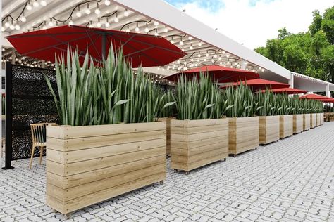 Sol 72 Outdoor™ Chipps Wood Planter Box Set | Wayfair Hedge Wall, Stain Wood, Wood Planter, Wood Planter Box, Outdoor Cafe, Planter Design, Wood Planters, Planter Box, Garden Cottage