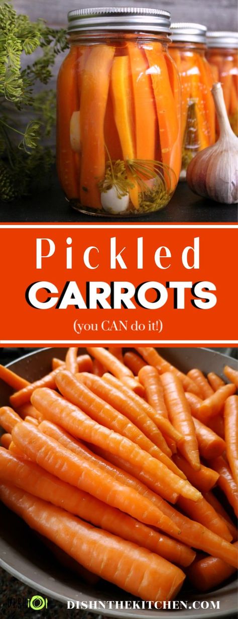 Easy Pickled Carrots Recipe, Pickles Carrots, Picked Carrots, Carrots Pickled, Canning Carrots, Dill Carrots, Pickled Carrots Recipe, Canning Pickles, Pickled Carrots