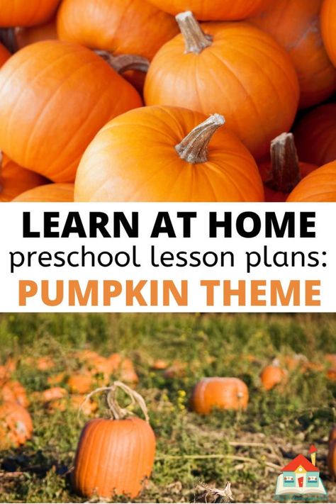 Dig into pumpkins with these free pumpkin-themed preschool lesson plans. With over 16 pumpkin themed activities, these hands-on and developmentally appropriate art, literacy, math, social, and more are great for your fall planning. Plus, they are available as a free download and require simple, everyday materials. Pumpkin Observation Preschool, It’s Pumpkin Day Mouse Activities, Pumpkins Lesson Plans Preschool, Pumpkin Theme Preschool Lesson Plans, Pumpkin Investigation Preschool, Pumpkin Lesson Plans For Preschool, Kindergarten Pumpkin Activities, Pumpkin Theme Preschool, Pumpkin Preschool Activities