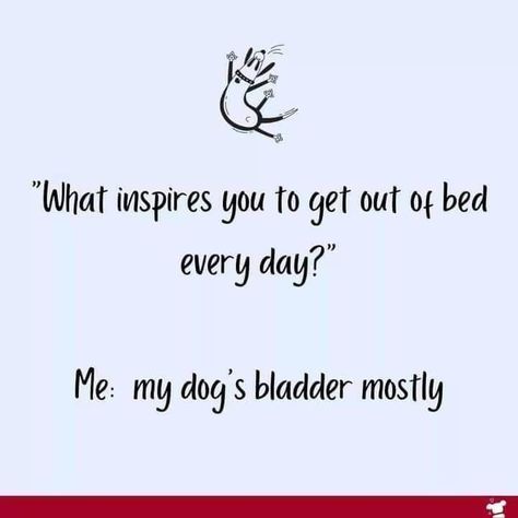 Dog Mom Quotes, Dog Lover Quotes, Puppy Mom, Dog Sympathy, Get Out Of Bed, Dog Rules, Dog Parents, What Inspires You, Animal Companions