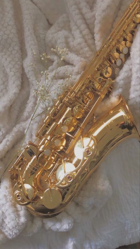 Saxophonist Aesthetic, Alto Saxophone Wallpaper, Alto Sax Aesthetic, Saxophone Aesthetic Wallpaper, Sax Aesthetic, Music Sheets Aesthetic, Gold Music Aesthetic, Alto Saxophone Aesthetic, Band Kid Aesthetic