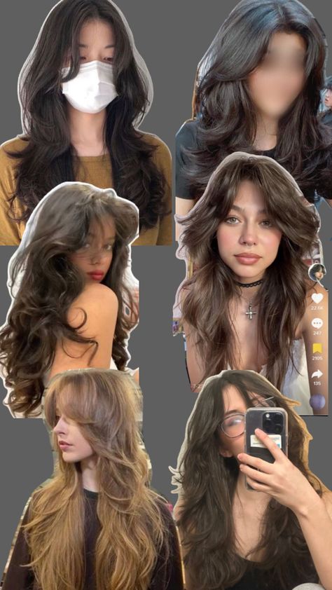 Butterfly Haircut In A Ponytail, Hush Cut Vs Wolf Cut, Butterfly Vs Wolf Cut, Wolf Cut Long Vs Butterfly Cut, Wolf Cut Wavy Hair, Long Hair Wolfcut, Wolf Haircut Long Hair, Haircut Wolfcut, Long Wolf Cut