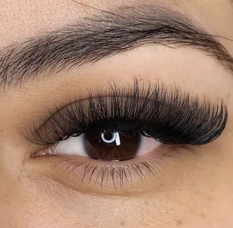 Long Cateye Eyelashes Extensions, Eyelash Extensions Volume Cat Eye, Cateye Eyelashes Extensions Volume, Volume Cateye Extensions, Russian Volume Lashes Cat Eye, Volume Lash Extensions Styles Cat Eye, Cat Eye Russian Lashes, Cateye Volume Eyelash Extensions, Volume Lash Extensions Cat Eye