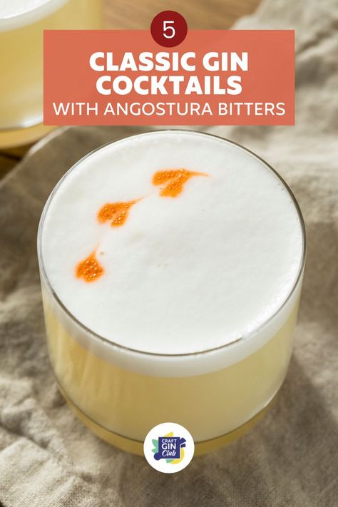 Looking for the perfect recipes that use both gin and bitters? We have you covered! This list of the 5 best classic gin and Angostura Bitters cocktail recipes is absolutely drool-worthy. The complex spice flavours of Angostura Bitters, which include hints of cinnamon and clove, and the rich citrus and juniper of a good craft gin are matches made in heaven! Angostura Bitters Cocktails, Pisco Sour Recipe, Bitters Cocktail Recipes, Refreshing Drinks Alcohol, Classic Gin Cocktails, Gin Sour, Gin Recipes, Sour Foods, Gin Cocktail Recipes