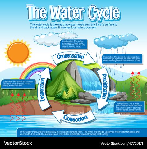 Water In Nature, Water Cycle Project, Water Cycle Diagram, Education Illustration, The Water Cycle, Nature Environment, Drawing Bag, Earth Surface, Water Cycle