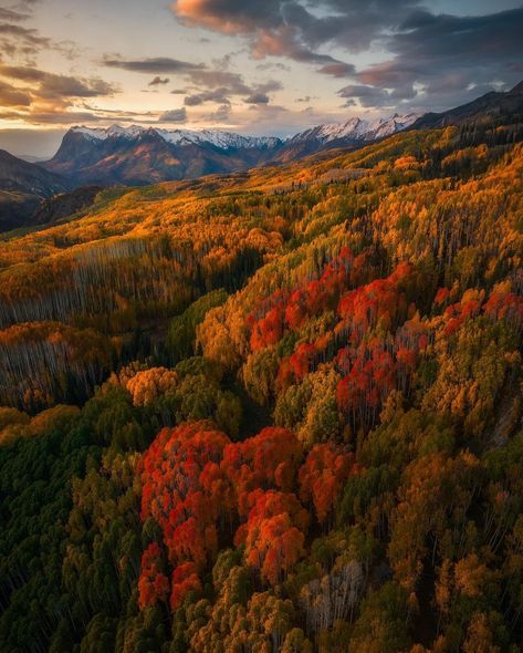 Colorado color palette 🎨 A few snaps from one of the most beautiful fall locations in the country. Which is your favorite (1-4)? | Instagram Colorado In Fall, Fall Locations, Autumn Widgets, Fall In Colorado, Colorado Fall, As Above So Below, Fall Feels, Autumn Painting, Fall Pictures