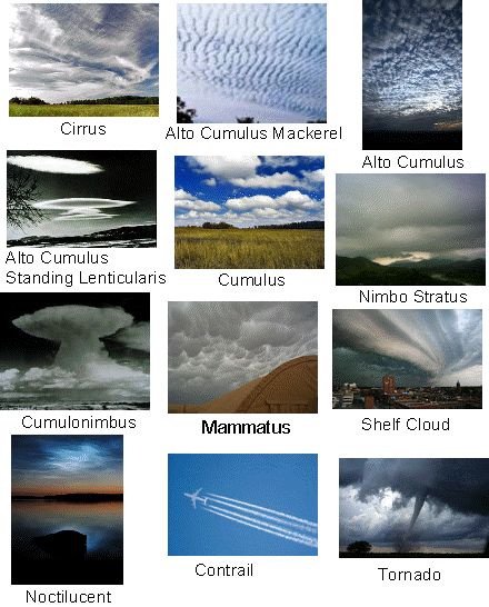 Different Types of Clouds I need to memorize so I stop taking pictures to send to my bro asking what kind they are. Eco School, Cloud Types, Types Of Clouds, Cloud Type, Weather Science, Cloud Formations, Weather Cloud, Matka Natura, Earth And Space Science