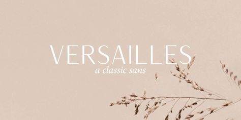 Versailles JW Font | Webfont & Desktop | MyFonts Versailles Font Pairing, Jen Wagner, Classic Sans, Timeless Font, Fonts Creative, Website Fonts, Sans Font, Professional Fonts, Classic Fonts