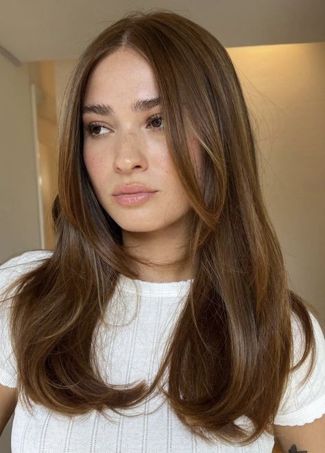 Rambut Brunette, Kadeřnické Trendy, Honey Brown Hair, Brown Hair Looks, Dreamy Aesthetic, Brown Hair Inspo, Fesyen Rambut, Vlasové Trendy, Hairstyles For Layered Hair