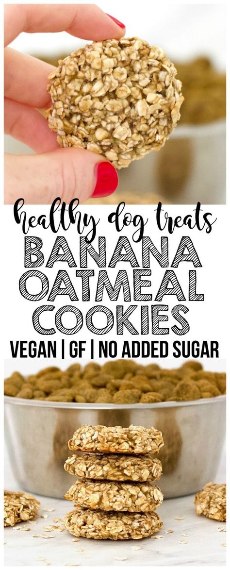 Low Fat Dog Treats, Vegan Dog Treats, Dog Cookie Recipes, Homemade Dog Cookies, Dog Biscuit Recipes, Healthy Dog Treats Homemade, Easy Dog Treats, Banana Oatmeal Cookies, Vegan Dog