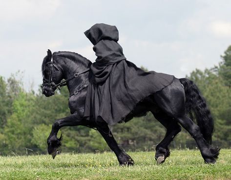 Friesian horse I need one in my life as well as that cloak..! العصور الوسطى, Cai Sălbatici, Rasy Koni, Horse Costumes, Fotografi Kota, Black Horses, Gif Lucu, Friesian Horse, Animale Rare