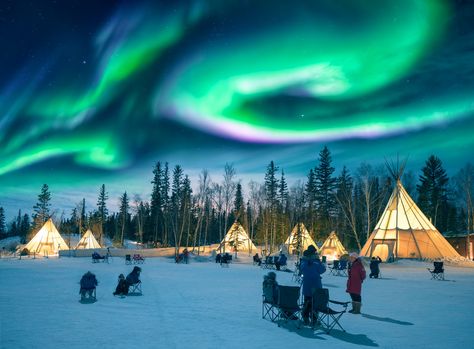 Amazing northern lights dancing over the tepees at Aurora Village in Yellowknife. Aurora Village, Northern Lights Canada, 7 Natural Wonders, Northern Lights Norway, See The Northern Lights, Tromso, Trondheim, Alvar Aalto, The Aurora