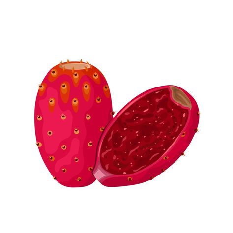 Prickly Pear Embroidery, Cactus Fruit Tattoo, Prickly Pear Illustration, Prickly Pear Cactus Drawing, Prickly Pear Tattoo, Prickly Pear Fruit, Pear Drawing, Cactus Pears, Cast Jewelry