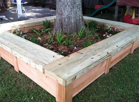 Raised bed around the tree with bench seating Bench Around Trees, Tree Seat, Taman Diy, Landscaping Around Trees, Tree Bench, Desain Lanskap, Have Inspiration, Memorial Garden, Planter Box