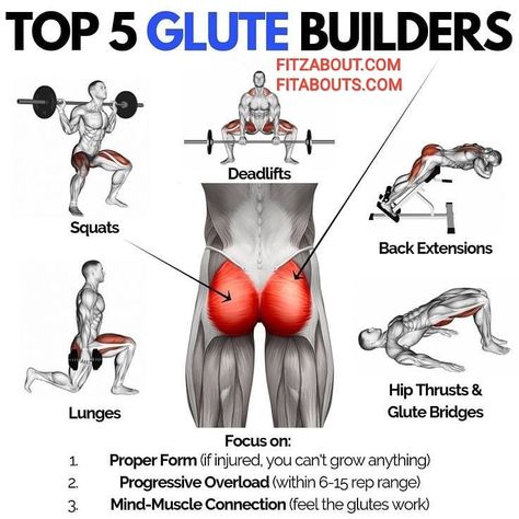 ⚡⚡⚡what are the best exercises you can do to get your glute muscles in top-notch shape? Here are the five best glute exercises out there⚡⚡⚡ Improving strength in your gluteal muscles (or, in the common tongue, the butt) is not just great for aesthetic purposes - it's key for developing practical, everyday strength. Toning and conditioning your glutes can help you avoid lower-body injuries, improve athletic performance, improve posture, develop a stronger back and core, and better your overall he Exercises For Men, Gluteus Maximus, Workout Abs, Gym Workout Chart, Workout Routine For Men, Gym Workouts For Men, Muscular System, Leg And Glute Workout, Gym Tips