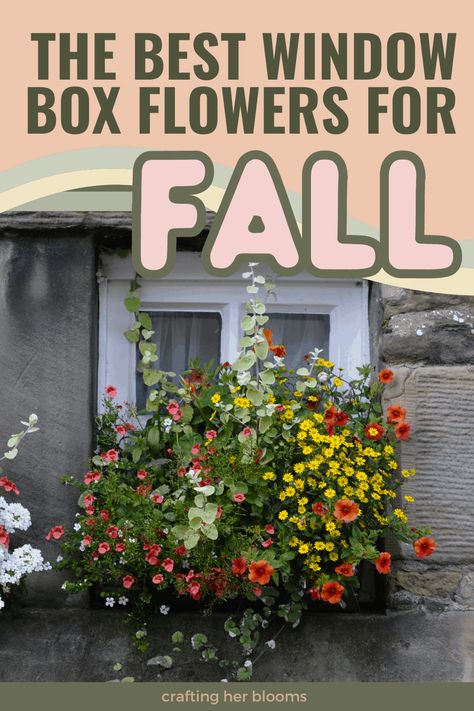 Porch Rail Planter Boxes Fall, Call Window Boxes, Window Flower Boxes Fall, Easy Window Box Flowers, Fall Flower Boxes Window Mums, Fall Flowers For Window Boxes, Fall Flower Window Box Ideas, Autumn Window Box Ideas, Window Boxes For Fall