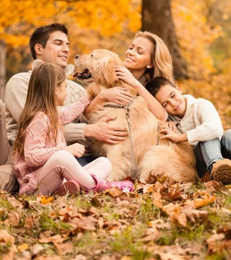 Teenage Attitude, Playing With Dog, Baby Shower Wording, Family Stock Photo, Bad Parents, Park Pictures, Aggressive Dog, Positive Behavior, Parenting Books