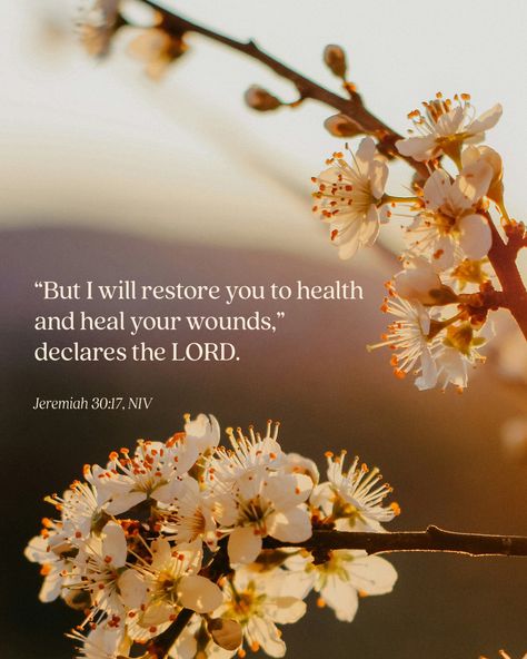 In the Bible, we find many resources to weather hardship. When healing feels impossible, we can lean on the truth of God's word.   "'But I will restore you to health and heal your wounds,' declares the Lord." — Jeremiah 30:17, NIV Jeremiah 30:17 Health, God And Healing, Encouraging Bible Verses For Healing, God Will Heal You, Jeremiah 30:17, Bible Verses For Strength And Healing, Bible Verses On Healing, Health Bible Verses, Hospital Wallpaper