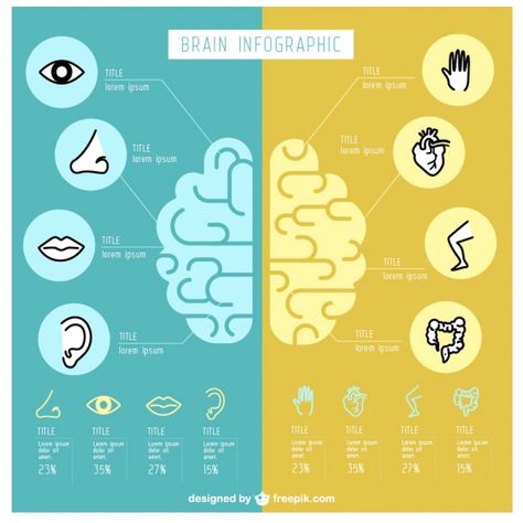 Brain Infographic, Social Campaign, Infographic Illustration, Portfolio Inspiration, Right Brain, Dashboard Design, Medical Illustration, Human Brain, Business Infographic