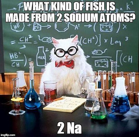 The Best of the Chemistry Cat Meme: Chemistry Cat - Sodium Fish Cat Birthday Memes, Science Cat, Chemistry Cat, Science Puns, Chemistry Humor, Nerd Jokes, Chemistry Jokes, Engineering Humor, Teacher Memes