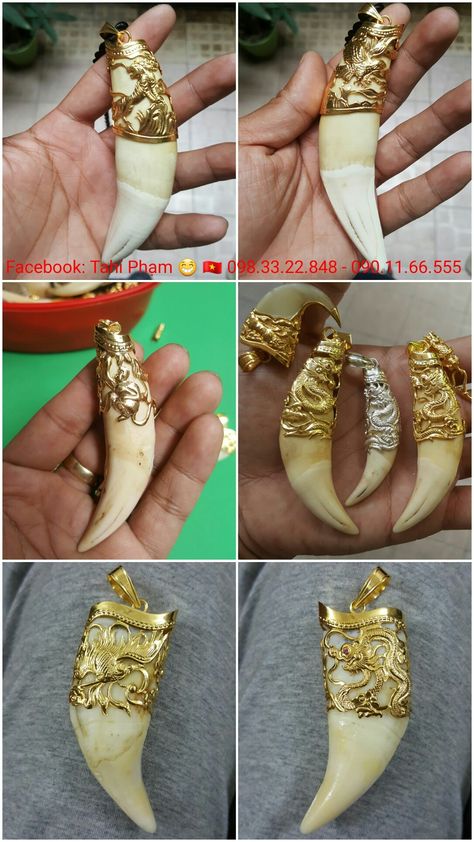 Lion Tooth Pendant, Tiger Nail Locket For Men, Lion Nail Gold Pendent For Men, Lion Nails, Boar Tusk, Mens Wedding Rings Gold, Antique Gold Bracelet, Tiger Tooth, Rajputi Jewellery