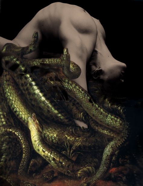 I was never really insane except upon occasions when my heart was touched. - Edgar Allan Poe Male Villain Aesthetic, Snake Aesthetic, Snake Shedding, Rennaissance Art, Snake Art, Arte Obscura, Arte Inspo, Edgar Allan, A Snake