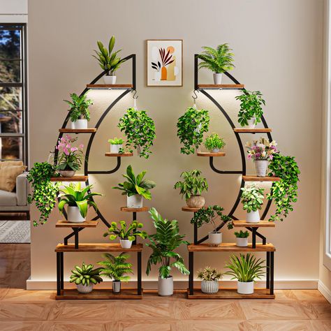 Hanging plants indoor bedroom