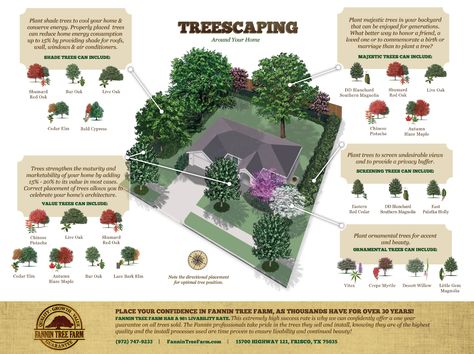 Fannin Treescaping Around Your Home #landscaping #gardening Where To Plant Trees In Backyard, Trees Around House, Property Line Landscaping, Backyard Trees Landscaping, Acreage Landscaping, Landscaping Around House, Trees For Front Yard, Landscaping Around Trees, Backyard Trees