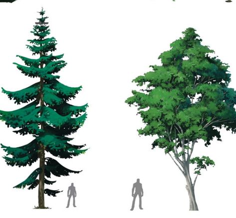 Pine Tree Reference, Ghibli Tree, Tree Concept Art, Tree Reference, Stylized Trees, Environment Painting, Digital Painting Techniques, Giant Tree, Scenery Background